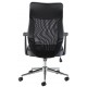 Fonseca Mesh Ergonomic Office Chair